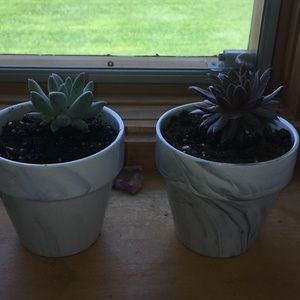 Meet your Posher, Claire